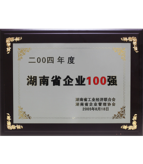 湖南省企业100强